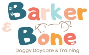 WhatsApp Image 2026-02-27 at 14.09.36 (2)