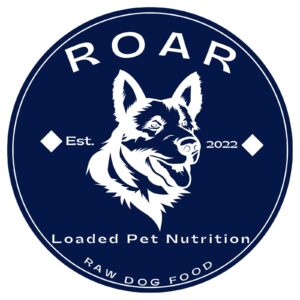 WhatsApp Image 2026-02-27 at 14.09.51 (1)