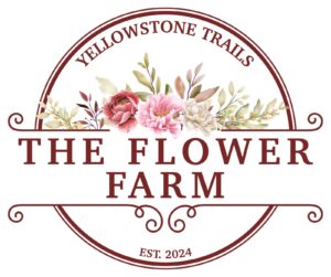 WhatsApp Image 2026-02-27 at 14.09.54 (1)